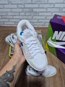 Nike Dunk Low Labubu